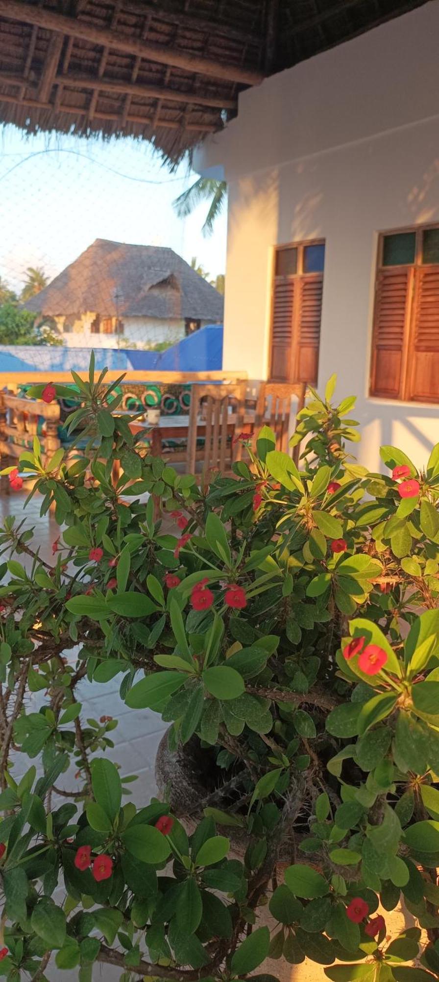 Amka House Villa Jambiani  Kültér fotó